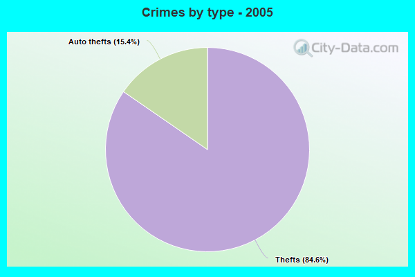 Crimes by type - 2005