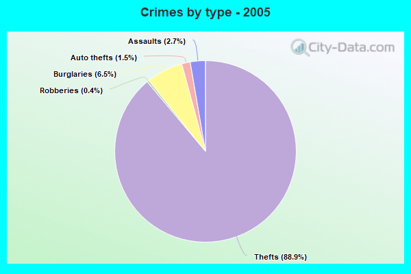 Crimes by type - 2005