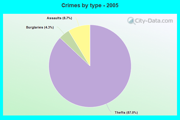 Crimes by type - 2005