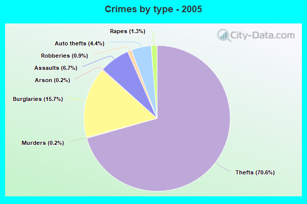 Crimes by type - 2005