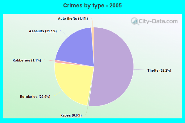 Crimes by type - 2005