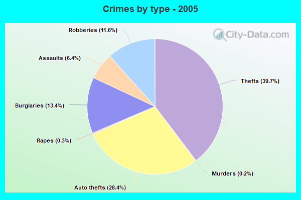 Crimes by type - 2005