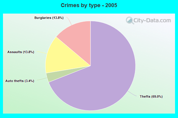 Crimes by type - 2005