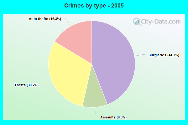 Crimes by type - 2005