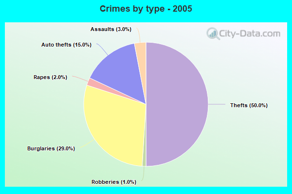 Crimes by type - 2005