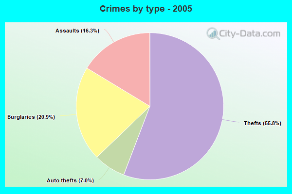 Crimes by type - 2005