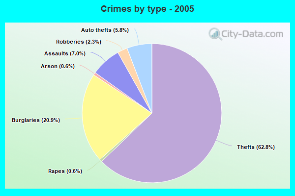 Crimes by type - 2005