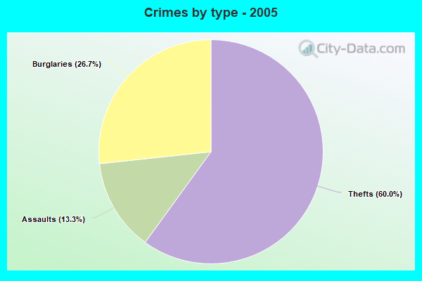 Crimes by type - 2005