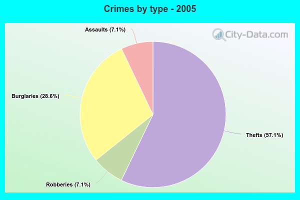 Crimes by type - 2005