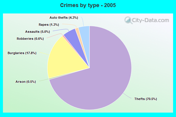 Crimes by type - 2005