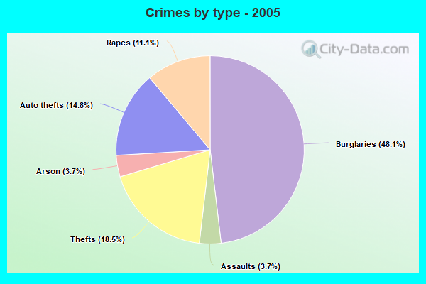 Crimes by type - 2005