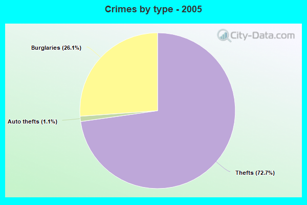 Crimes by type - 2005