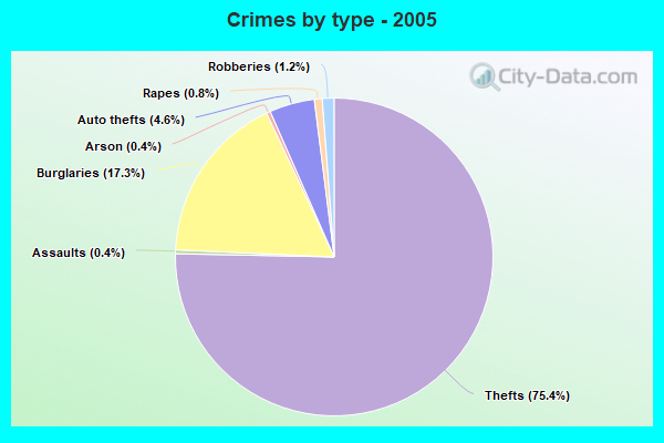 Crimes by type - 2005