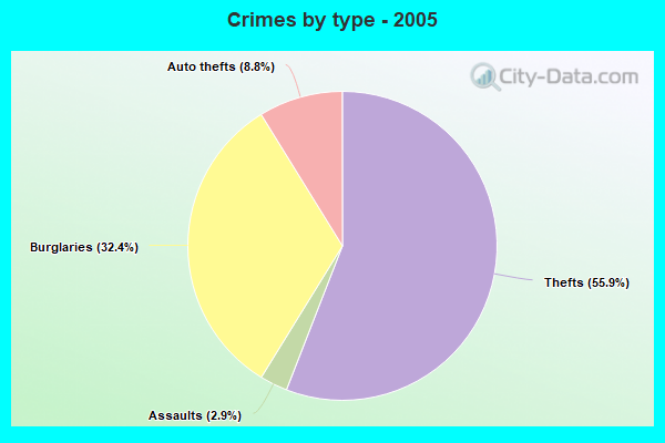 Crimes by type - 2005