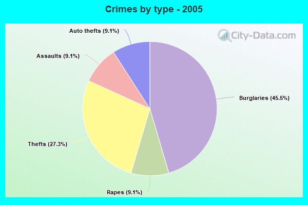 Crimes by type - 2005