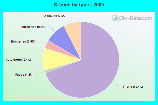 Crimes by type - 2005