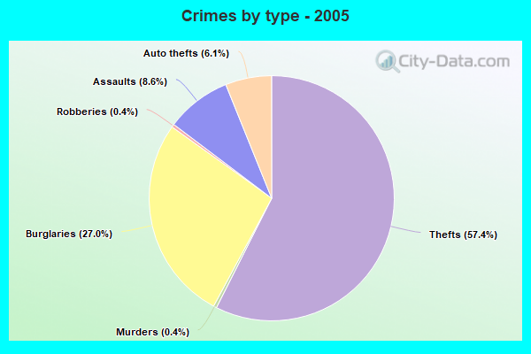 Crimes by type - 2005