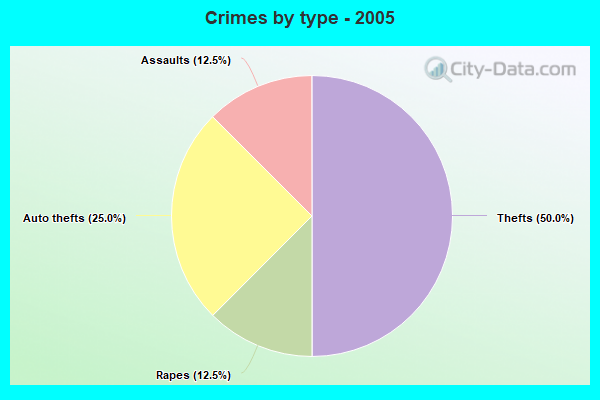 Crimes by type - 2005