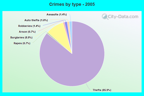 Crimes by type - 2005