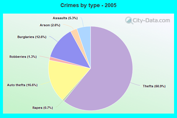 Crimes by type - 2005