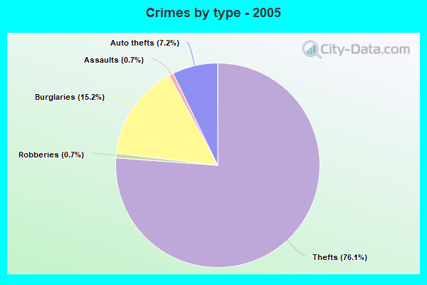 Crimes by type - 2005