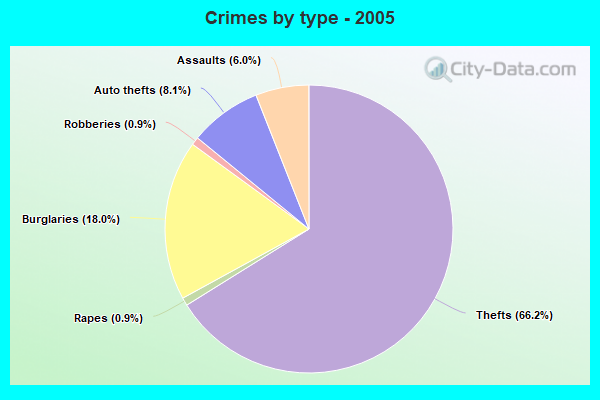 Crimes by type - 2005