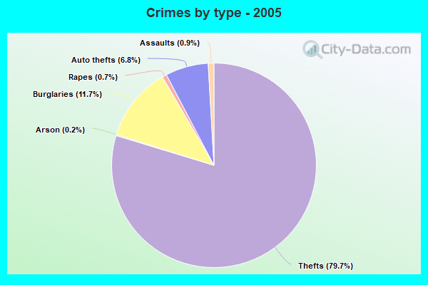 Crimes by type - 2005