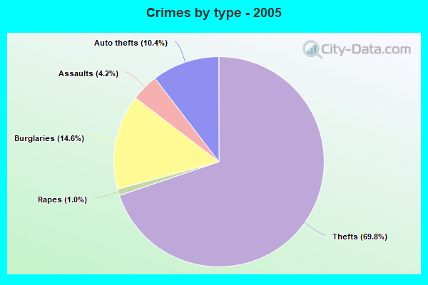 Crimes by type - 2005