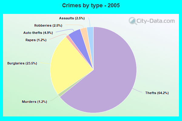 Crimes by type - 2005