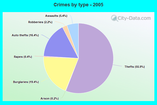 Crimes by type - 2005