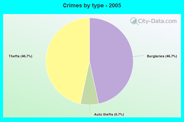 Crimes by type - 2005