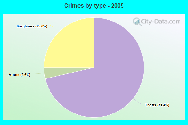 Crimes by type - 2005