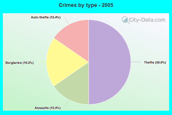 Crimes by type - 2005