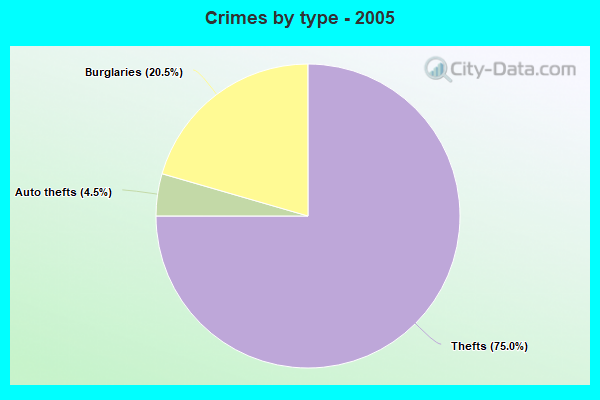 Crimes by type - 2005