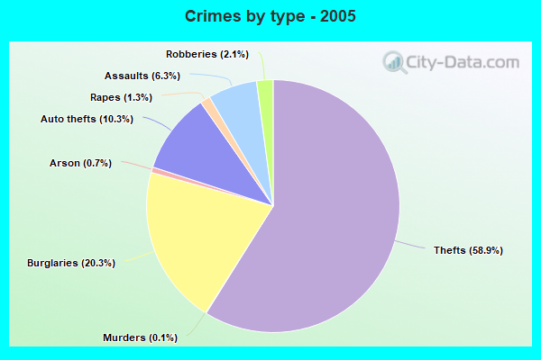 Crimes by type - 2005