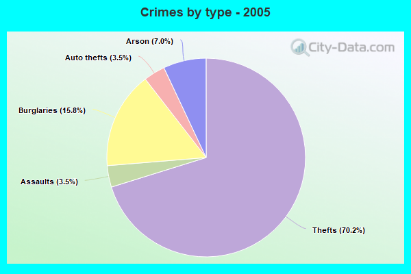 Crimes by type - 2005