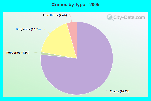 Crimes by type - 2005