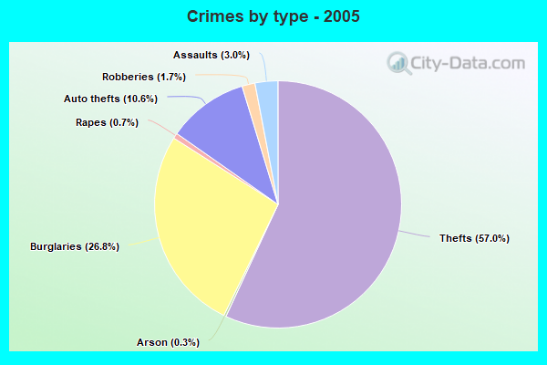 Crimes by type - 2005