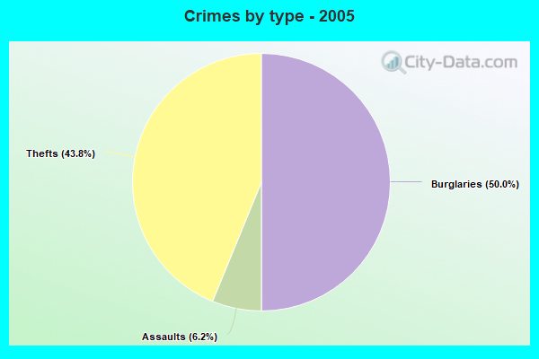 Crimes by type - 2005