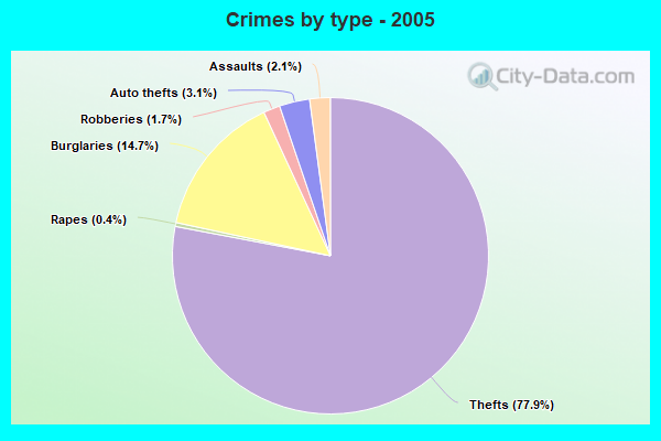 Crimes by type - 2005