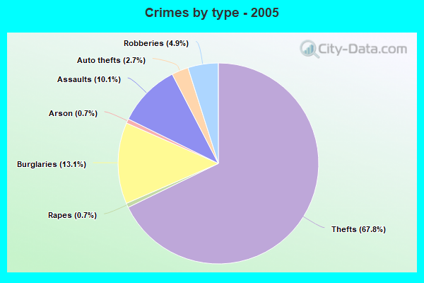 Crimes by type - 2005