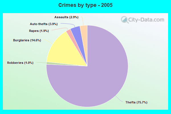 Crimes by type - 2005