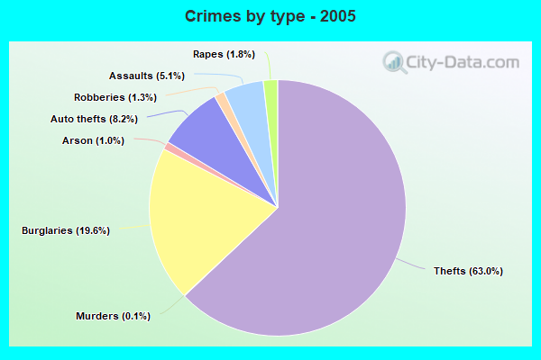 Crimes by type - 2005