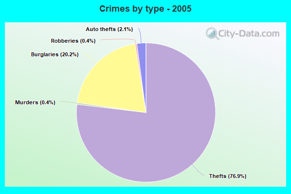 Crimes by type - 2005