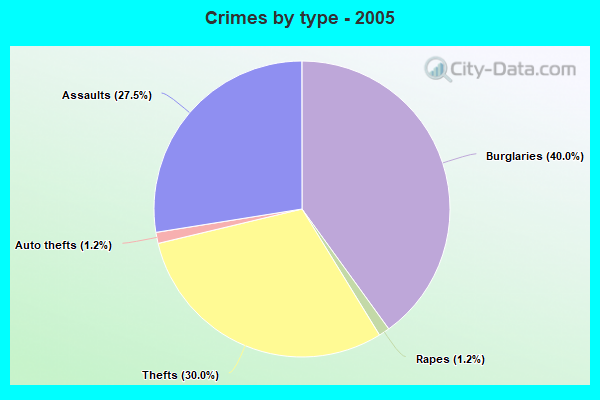 Crimes by type - 2005