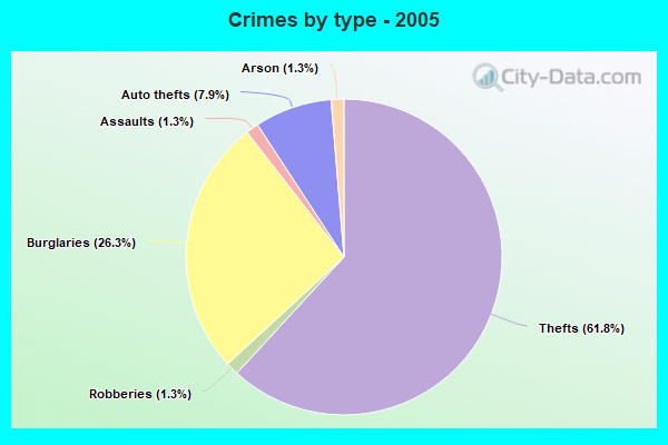 Crimes by type - 2005