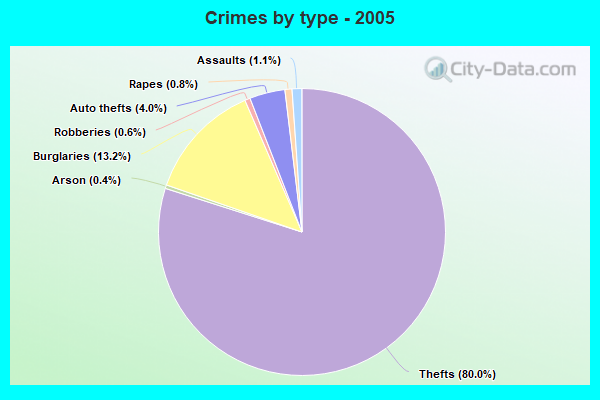 Crimes by type - 2005