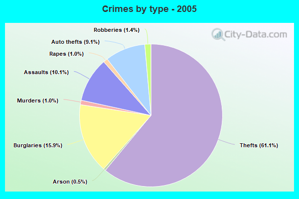 Crimes by type - 2005