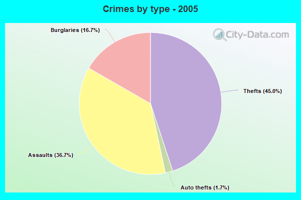 Crimes by type - 2005