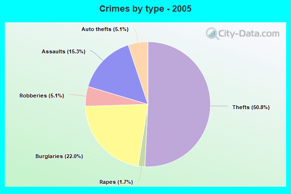 Crimes by type - 2005